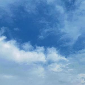 看同性恋撸管射精的免费视频
