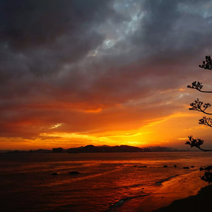 看同性恋撸管射精的免费视频
